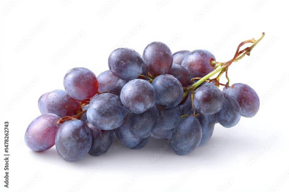 Fototapeta premium A bunch of dark purple grapes glistening with water droplets.