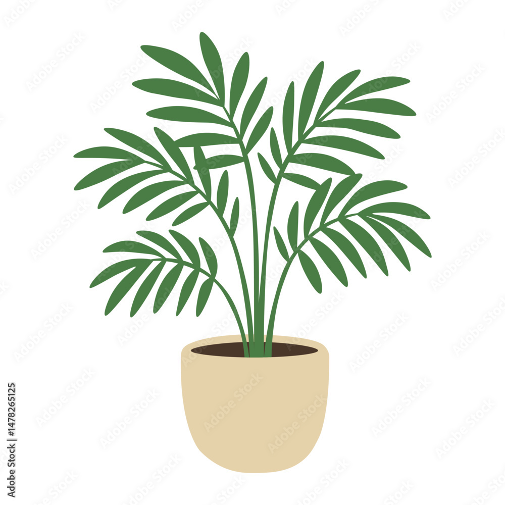 Flat vector illustration of a tropical palm houseplant with thin leaves in a simple pot. Flat vector illustration of a tropical palm houseplant with thin leaves in a simple pot.