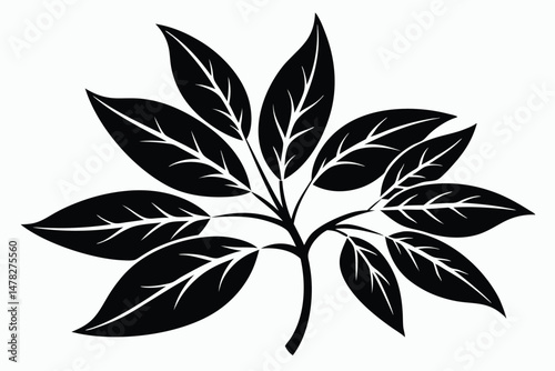 Symmetrical Leaf Branch Silhouette Black Leaves, Veins, and Stem Graphic Illustration