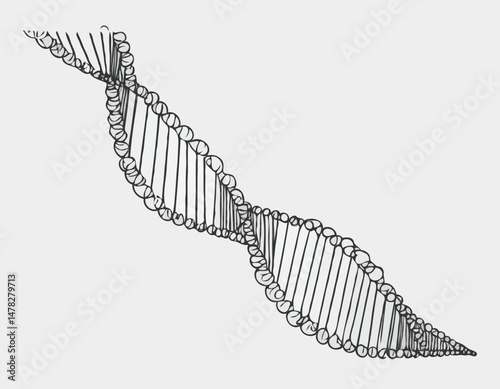 Line Art DNA Helix Illustration