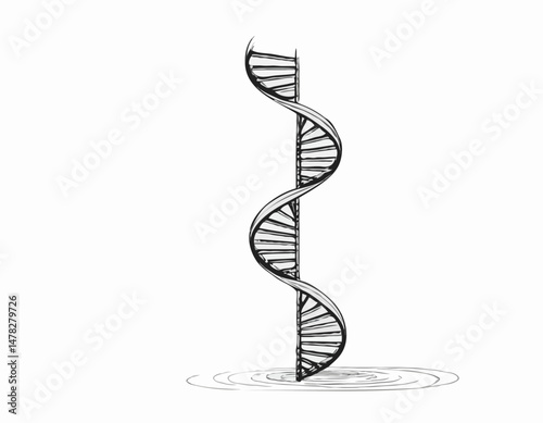 Line Art DNA Helix Illustration