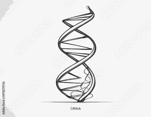 Line Art DNA Helix Illustration