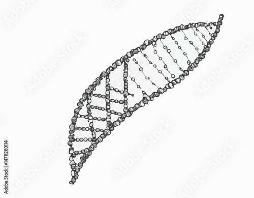 DNA Sequencing Line Drawing