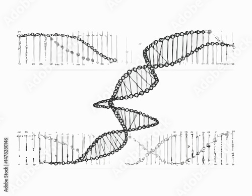 DNA Sequencing Line Drawing