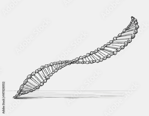 DNA Sequencing Line Drawing