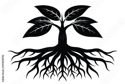 Silhouette of a Tree Illustration with Leaves and Roots Spreading Outward Elegantly