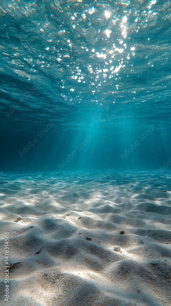 Fototapeta premium Underwater Scene: Sunlit Ocean Water and Sandy Seabed
