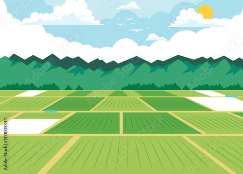 Fotografie Beautiful ricefield landscape with mountains vector illustration