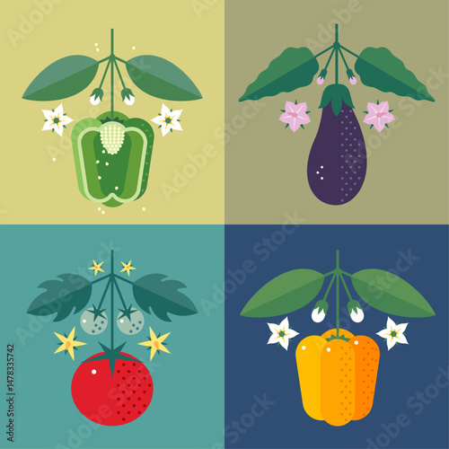 Yellow and green bell pepper, tomato and eggplant with leaves and flowers.  Symmetrical flat illustrations for label or packaging.