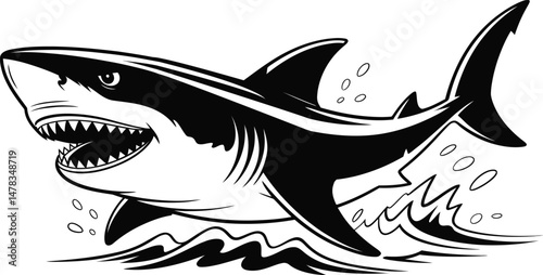 Aggressive Shark Illustration in Black and White