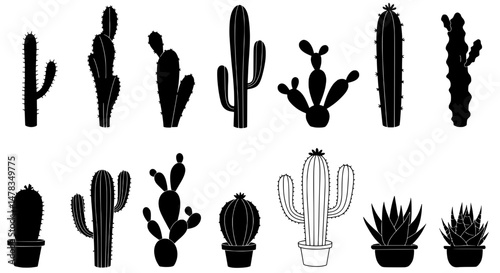 Cactus silhouette collection: A meticulously crafted silhouette collection showcases an array of cacti. Displaying the diverse forms and textures of these desert succulents.