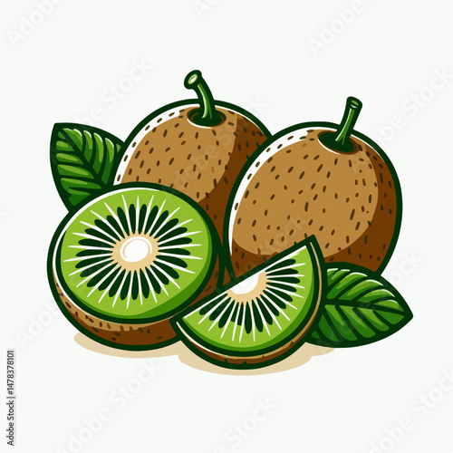 kiwi fruit vector illustration