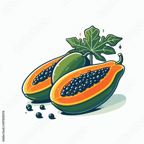 papaya vector illustration