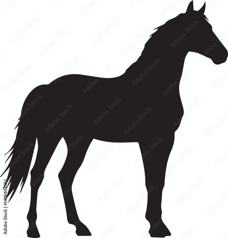 Fototapeta premium silhouette of a horse