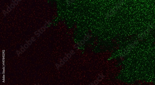 Microscopic View of Two Cell Types in a Dark Field
