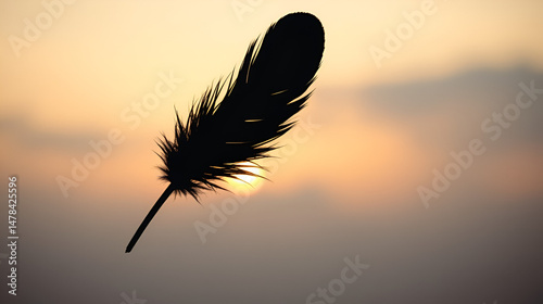 Silhouette of feather and ink blot - poetry and writer concept