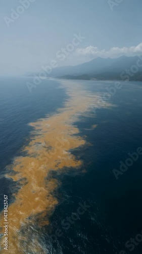 Wallpaper Mural Aerial view of discolored seawater running along the coastline with mountains and a hazy sky on the horizon. Torontodigital.ca