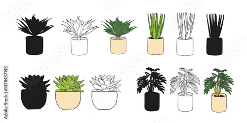 garden plant set at home_icon garden plant set in vase, silhouette of garden plants.