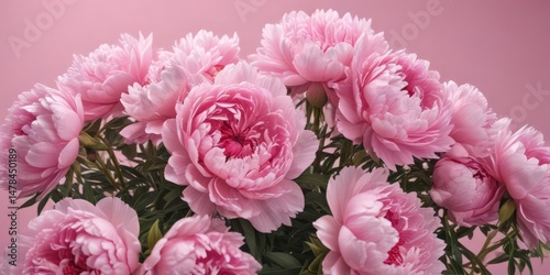 Dense cluster of pink peonies, soft pink backdrop, summer, gentle, floral art