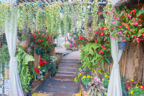 flowers in a garden