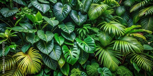 Wallpaper Mural Dense tropical foliage carpeting forest floor with varying leaf shapes and colors, tropical leaves, greenery Torontodigital.ca