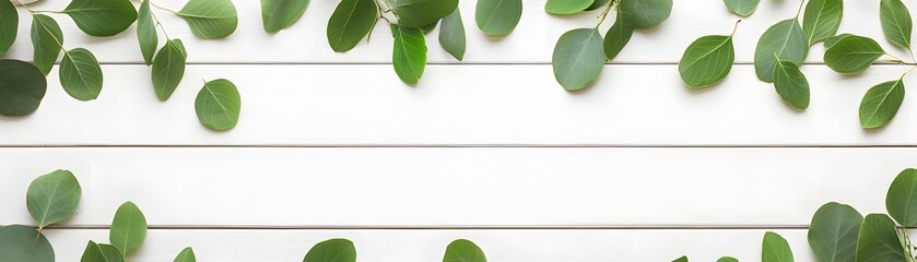 Fresh eucalyptus leaves arranged on a white wooden surface.