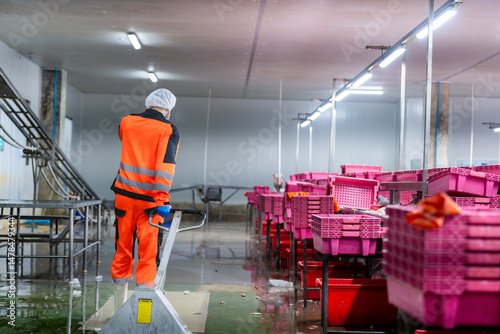 фотографія Factory workers in fish and seafood factory are moving food and lifting things into the fish chopping and butchering area before they are cooked and packed in the canned fish factory before export