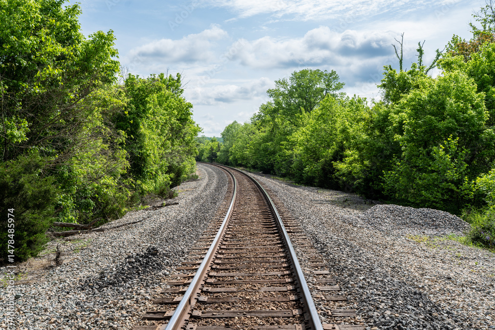 Obraz premium A Railroad Track Going Through the Forest on a Sunny Day in Rural Virginia