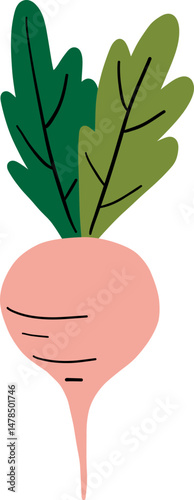 Cute fresh radish with green leaves, concept of healthy food and nutrition.