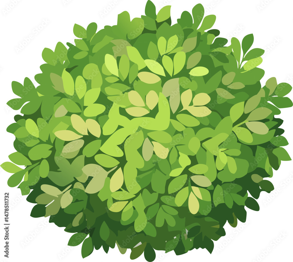 Stylized top view of a green bush with layered leaves and flat colors on a white background. Perfect for design, landscaping, and gardening visuals.