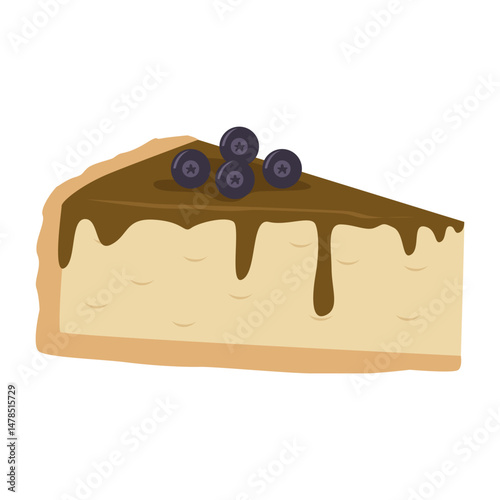 Blueberry Cheesecake Slice with Chocolate Topping