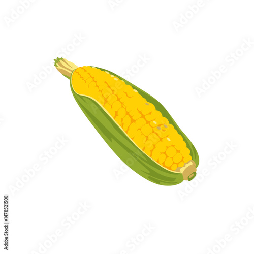 A yellow ear of corn with green husks partially peeled back, a staple grain and vegetable.