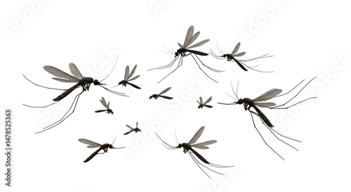 A swarm of mosquitoes in flight