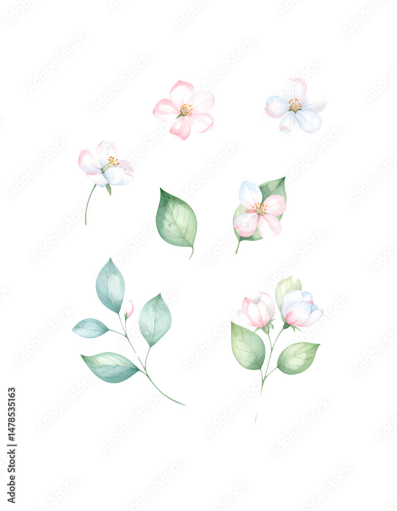 Obraz premium delicate floral watercolor clipart with soft pastel petals 