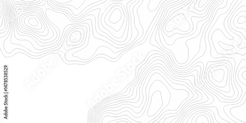 Abstract minimal The pattern discovery vector topo map creative discovery White wave grid stripe line map topography. vector geographic contour mounted map background.	