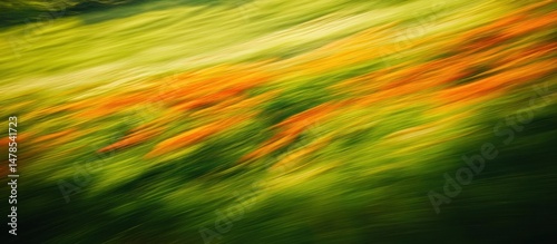Abstract Blurred Image of a Field with Orange and Green Colors