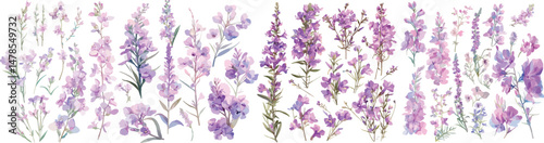 fireweed floral watercolor clipart