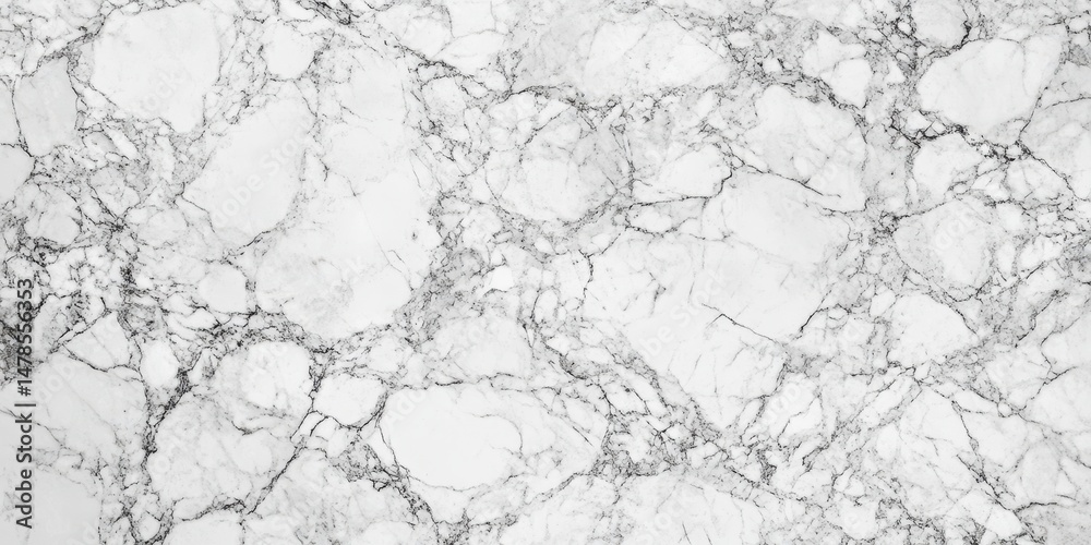 Obraz premium White marble texture with gray veining