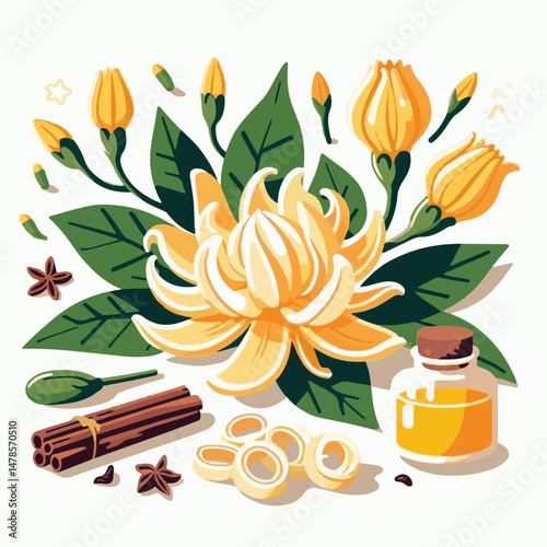 plant, blossom, flora, nature, aromatherapy, bloom, natural, flower, leaf, yellow, aroma, cananga, tropical, beauty, botanical, isolated, green, perfume, spa, background, organic, essential, oil, frag