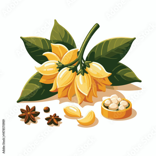 plant, blossom, flora, nature, aromatherapy, bloom, natural, flower, leaf, yellow, aroma, cananga, tropical, beauty, botanical, isolated, green, perfume, spa, background, organic, essential, oil, frag