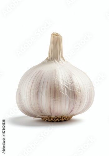 Isolated Garlic Bulb on White Background Still Life