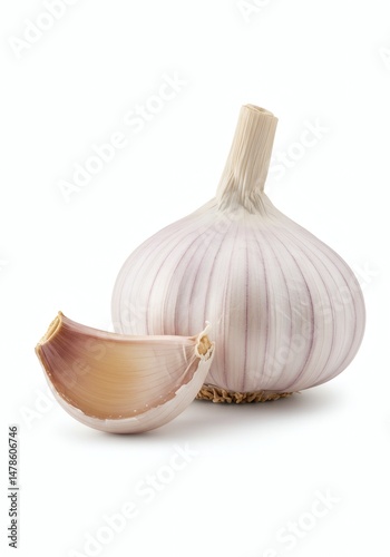 Garlic bulb and clove on white background for cooking ingredient