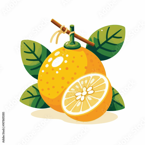 citrus, japan, fruit, yuzu, food, japanese, plant, organic, fresh, tropical, asian, ingredients, yellow, winter solstice, orchard, healthy, fruit juice, isolated, nature, refreshing, fragrant, flavor,