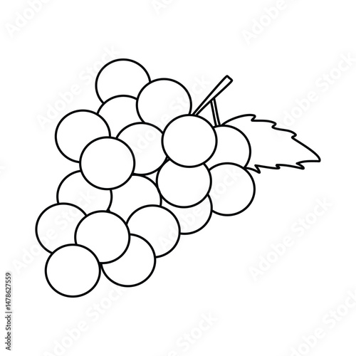 Bunch of Grapes, Bunch of Grapes coloring book