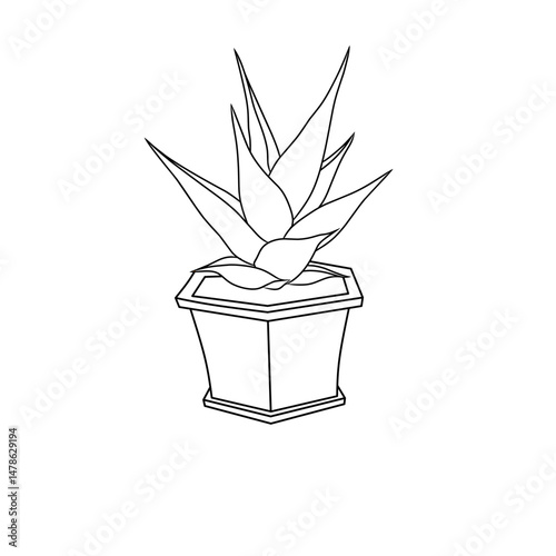 vector of Sansevieria plants planted in pots for home decoration