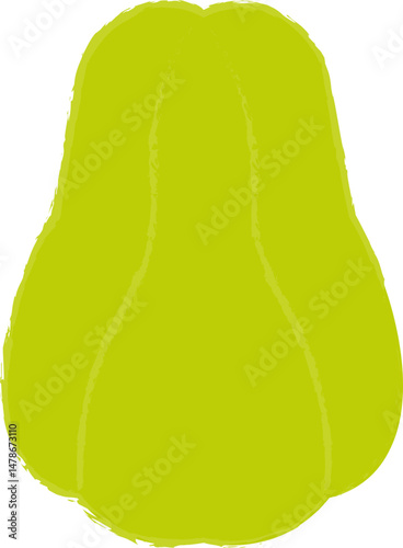 Chayote Hand-Drawn Illustration
