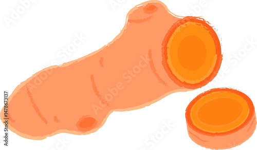 Turmeric Root Hand-Drawn Illustration