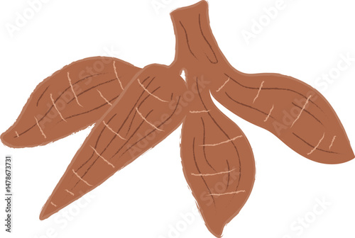 Cassava Root Vector Illustration – Hand Drawn Style