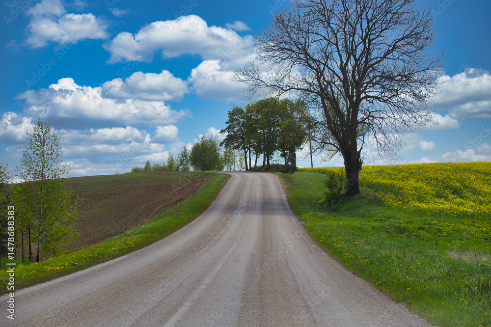 Fototapeta premium Winding Country Road Amid Fields Under a Bright Blue Sky