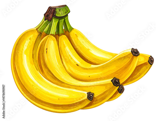 Bunch of ripe bananas (1)